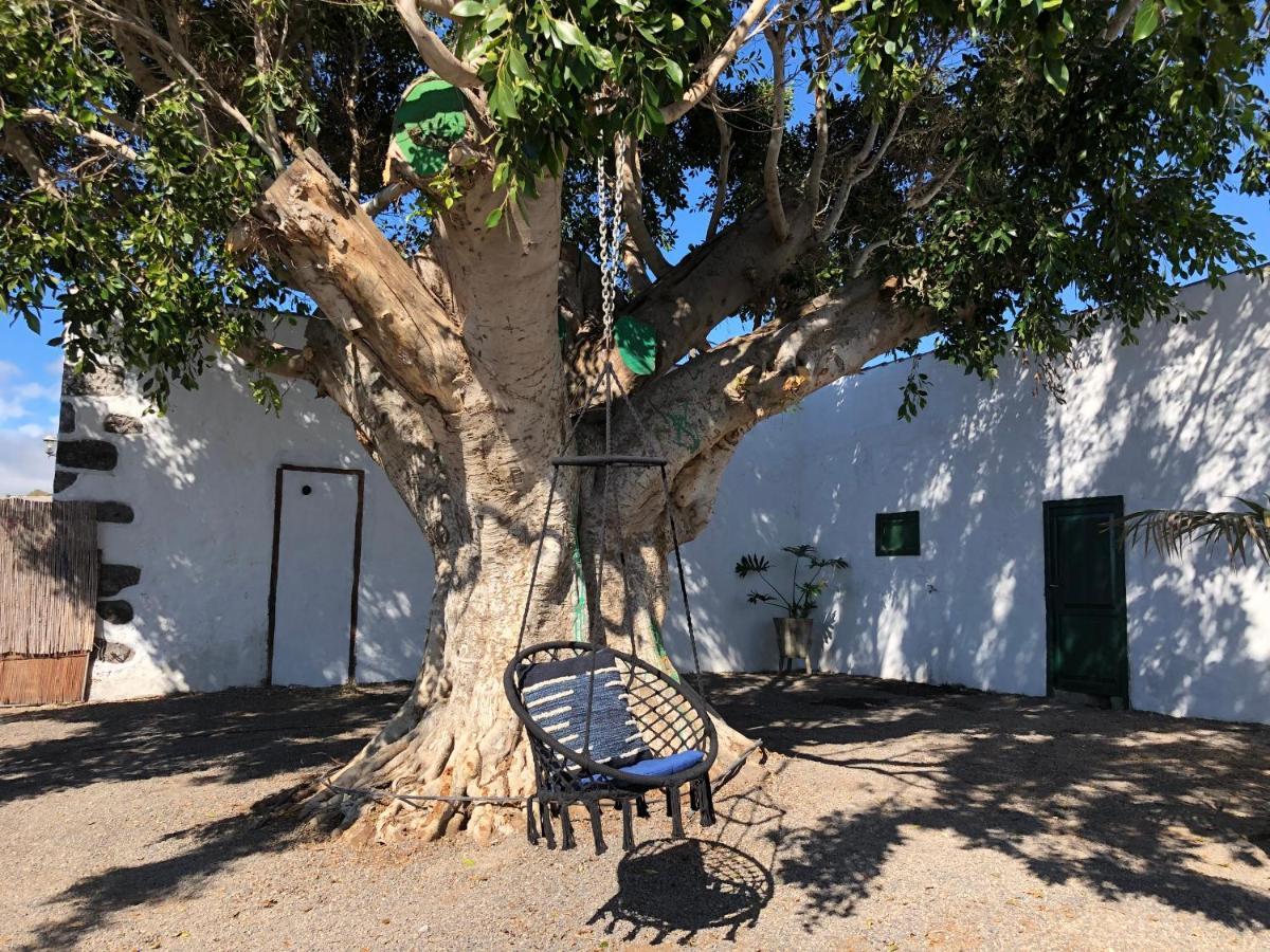 Finca Los Llanitos Guia de Isora  Luaran gambar