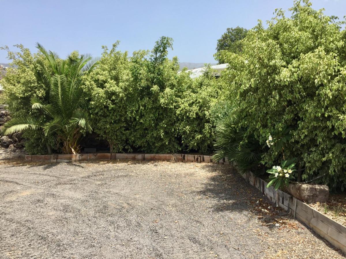 Finca Los Llanitos Guia de Isora  Luaran gambar
